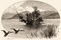 Ducks flying over lake with island