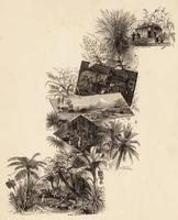 East Indies images