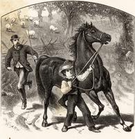 Boy reining horse