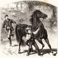 Boy reining horse