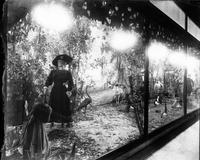 D. H. Holmes Display Window