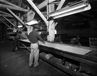 Freiberg Mahogany Company, men working on veneer