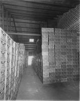 Falstaff Brewing Company, cases of beer