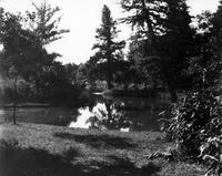 Lagoon with bridge, Audubon Park