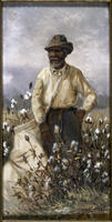 Male Cotton Picker
