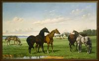 Horses at Pasture