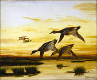 Southern Landscape with Ducks in Flight