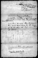 Criminal case file no. 118, Government [Territory of Orleans] v. Thomas Lutz, 1807.
