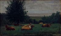 cows resting on green pasture