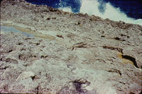 Coral rock erosion