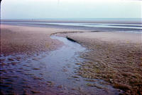 Low tidal flat outlet channel
