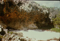 Sea cliff with travertine