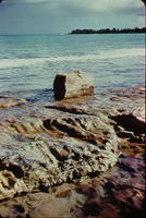 Three foot block of beach rock