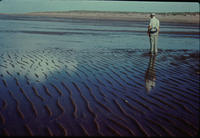 Tidal flat with ripples paralleling shore