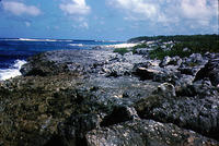 Beach within outer reef