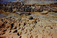 View across new and younger beach rock