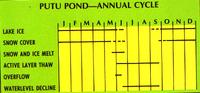Putu Pond, annual cycle