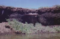 Undercut riverbank with collapse material