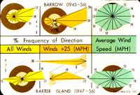Wind frequency and direction