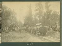 Ox-drawn Martin wagons, a small gauge steam locomotive, and workers near a logging work camp or commisary.