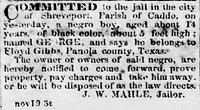 COMMITTED to the jail in the city of Shreveport; http://chroniclingamerica.loc.gov/lccn/sn86079090/1863-11-20/ed-1/seq-1/