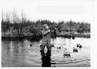 Putting out decoys