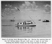 Shrimping on Barataria Bay