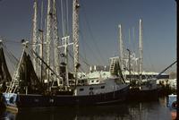 Vermillion Gulf Seafood Dock