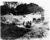 Building the levee in Jefferson Parish, ca 1908