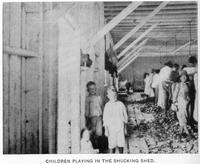 Children playing in the oyster shucking house