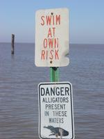 Alligator danger sign