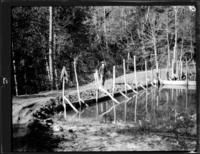 Flannigan Private Pond near Colfax