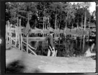 Flannigan Private Pond near Colfax.  Chapter  IV. Ravine Ponds 30