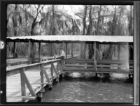 Man seated on wooden walkway above water
