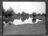 Noe Hatchery.  Main Pond