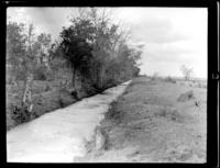 1921 Pollution ditch of Little Texas Ref.  inery  Decomposition takes place in ditches & laterals before swamps are reached. See report. Bayou Lafourche.