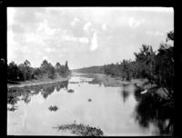 Bayou Grosse Tete, near entrance to Bayou Plaquemines