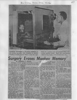 Surgery erases monkey memory