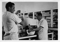 Two men, one with beaker and one with mortar and pestle; medications on shelves in background