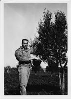 Soldier with cigar holding helmet, picking at small tree