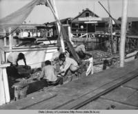 Unloading the day's shrimp catch in Manila Village Louisiana in the 1950s
