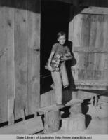 Boy gathering eggs in Louisiana circa 1940s