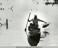 Man in a pirogue crawfishing with a net in a Louisiana waterway