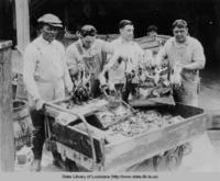 Men cleaning captured bull frogs in Louisiana in 1920s