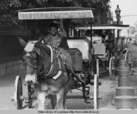 Horse-drawn carriages in the French Quarter in New Orleans Louisiana in the 1970s