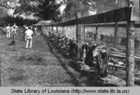 Smoking pigs at the Cochon de Lait Festival in Mansura Louisiana circa 1972