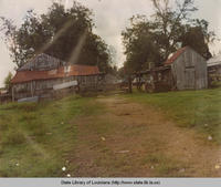Barns near Donaldsonville Louisiana