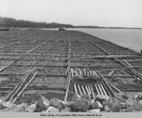 Laying willow mats in the Mississippi River in Kenner Louisiana in 1950