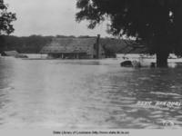 Floodwaters near Hamburg Louisiana during the great flood of 1927