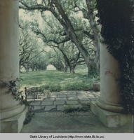 View of oaks from porch at Oak Alley plantation in Vacherie Louisiana